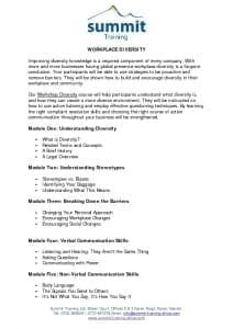 thumbnail of Workplace Diversity
